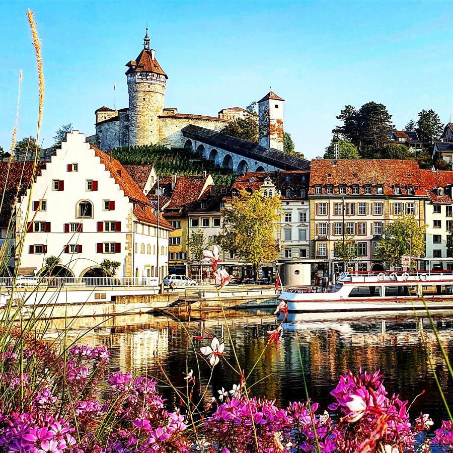 Apartment Suedwind - Beautiful Premium Apartment With 2 Bedrooms Near Rhine Falls & Zurich Airport In Klettgau Weisweil  Ngoại thất bức ảnh
